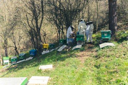 Jalea Rural es un proyecto asentado en Pradolunego que quiere poner en valor la importancia de las abejas. JALEA RURAL