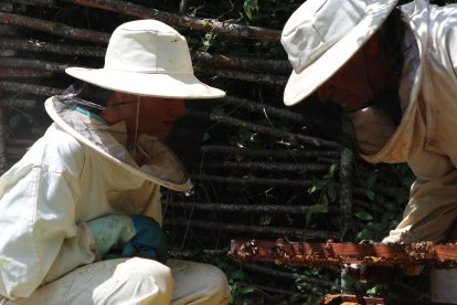 Jalea Rural es un proyecto asentado en Pradolunego que quiere poner en valor la importancia de las abejas. JALEA RURAL