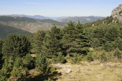 Imagen de la comarca de Pinares. ECB