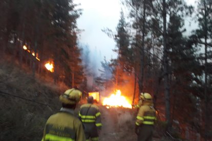 Los equipos de extinción trabajan en la zona. JCYL