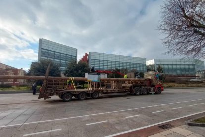 Es necesario un transporte especial para realizar el traslado del pino. ECB