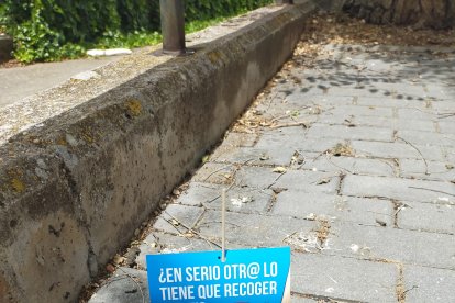 Los niños pusieron carteles para recordar a los incívicos que hay que recoger los excrementos de las mascotas