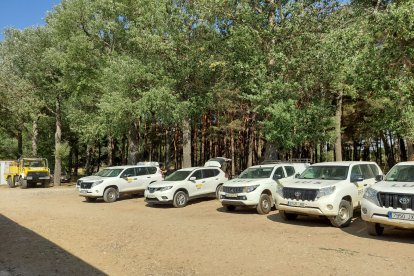 Quintanilla del Coco y Cubillo del Campo arden en dos incendios simultáneos de nivel 2