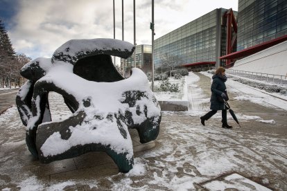 Los efectos del temporal de frío y nieve se hicieron notar ayer en Burgos en dos fases. La primera se desató durante la madrugada, con la caída de las primeras nevadas, con el extremo norte de Burgos como el más afectado. Durante las horas centrales del día mejoró la circulación al dejar de nevar, pero de nuevo por la tarde una copiosa nevada cubrió Burgos. TOMÁS ALONSO