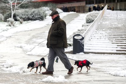 Los efectos del temporal de frío y nieve se hicieron notar ayer en Burgos en dos fases. La primera se desató durante la madrugada, con la caída de las primeras nevadas, con el extremo norte de Burgos como el más afectado. Durante las horas centrales del día mejoró la circulación al dejar de nevar, pero de nuevo por la tarde una copiosa nevada cubrió Burgos. TOMÁS ALONSO
