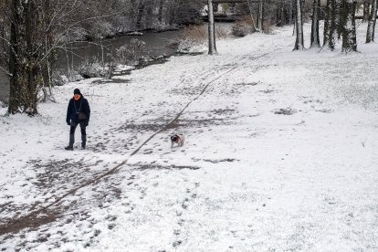 Los efectos del temporal de frío y nieve se hicieron notar ayer en Burgos en dos fases. La primera se desató durante la madrugada, con la caída de las primeras nevadas, con el extremo norte de Burgos como el más afectado. Durante las horas centrales del día mejoró la circulación al dejar de nevar, pero de nuevo por la tarde una copiosa nevada cubrió Burgos. TOMÁS ALONSO