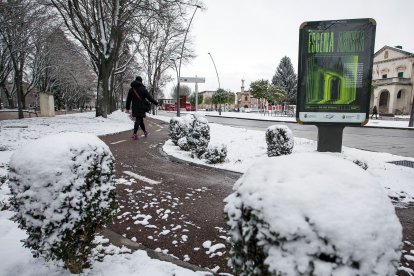 Los efectos del temporal de frío y nieve se hicieron notar ayer en Burgos en dos fases. La primera se desató durante la madrugada, con la caída de las primeras nevadas, con el extremo norte de Burgos como el más afectado. Durante las horas centrales del día mejoró la circulación al dejar de nevar, pero de nuevo por la tarde una copiosa nevada cubrió Burgos. TOMÁS ALONSO