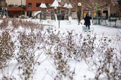 Los efectos del temporal de frío y nieve se hicieron notar ayer en Burgos en dos fases. La primera se desató durante la madrugada, con la caída de las primeras nevadas, con el extremo norte de Burgos como el más afectado. Durante las horas centrales del día mejoró la circulación al dejar de nevar, pero de nuevo por la tarde una copiosa nevada cubrió Burgos. TOMÁS ALONSO