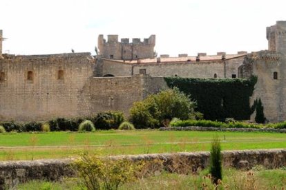 Vista general del castillo de Sotopalacios.