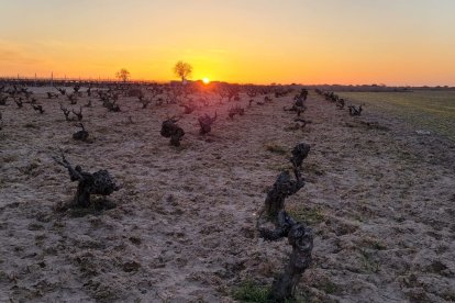 Así atardece en febrero en la Ribera del Duero