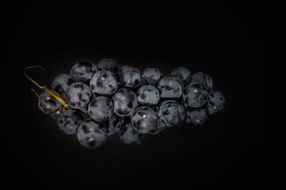 Arzuaga ofrece vivir la experiencia de la vendimia nocturna