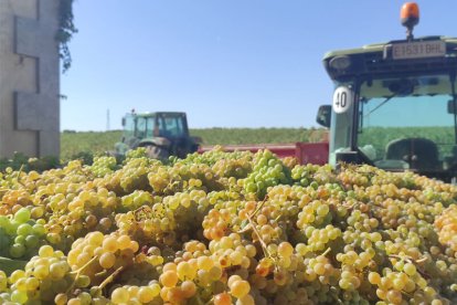 La bodega- hotel Torremilanos ofrece también packs para vivir de cerca la vendimia 2022