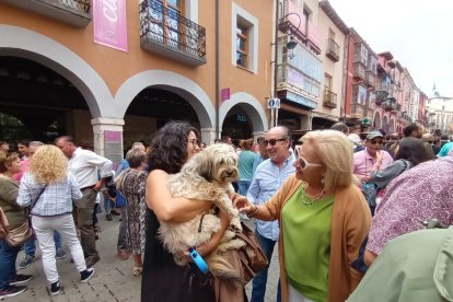 La Ribera del Duero celebra su Gran Fiesta de la Vendimia. FOTOS: © ECB /  L. V.