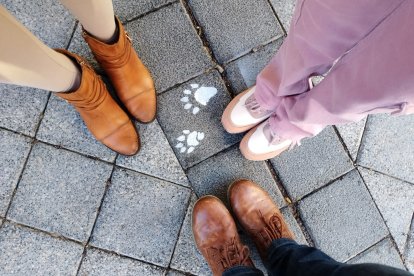 Se han dispuesto cerca de los centros escolares de la zona y también en áreas de parques para acercar la experiencia a los más pequeños y sus familias.