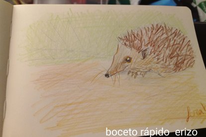 Cada mural ha contado con un boceto previo, una recreación virtual antes de la propuesta final. Aquí el boceto del erizo.