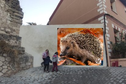 La primera prueba virtual sobre la imagen prevista del erizo, que finalmente se descartó.