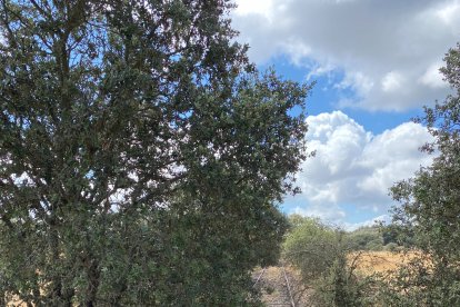 Instante de la ruta Burgos- Córdoba- Burgos que la burgalesa hizo en verano. I.L.