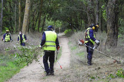 Un grupo de operarios adecenta el acceso al Humedal de Fuentes Blancas, una de las tareas realizadas durante 2020. ISRAEL L. MURILLO