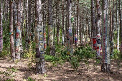 Ruta de los duendes.