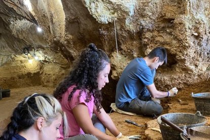 Vista general excavación con los investigadores trabajando en el nivel 4.