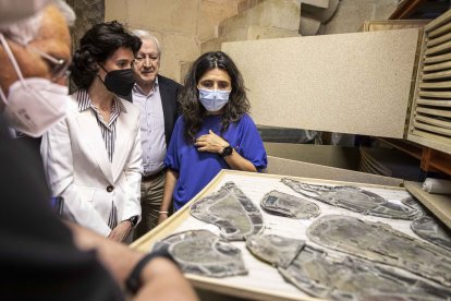 Visita el 1 de junio, dos técnicos del IPCE, el jefe de área de Intervenciones
en Bienes Muebles y la jefa de servicio de Restauración, acompañados por directivos del Cabildo Metropolitano y de la Fundación VIII Centenario de la
Catedral. Burgos 2021, comprobaron el estado de los paneles y de piezas
sueltas. El objetivo era tener una primera visión de la situación de las vidrieras originales.