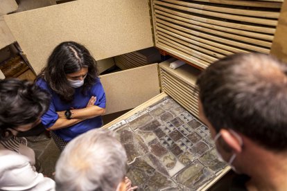 Visita de los técnicos del IPCE a la Catedral para definir el contenido del proyecto de restauración.