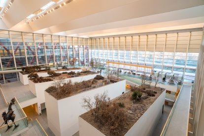 Vista general del interior del Museo de la Evolución Humana. ECB