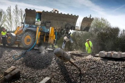 GALERÍA DE FOTOS. El trabajo ha sido intenso durante estos días. TOMÁS ALONSO