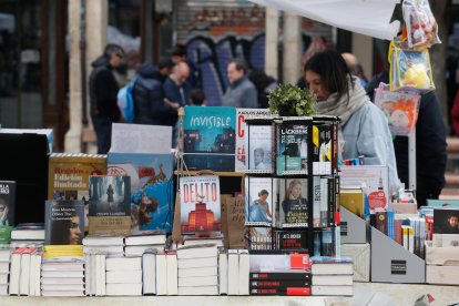 Puesto de una de las librerías. SANTI OTERO