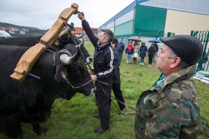 Jornada de los Carreteros en el IES Diego Porcelos. TOMÁS ALONSO