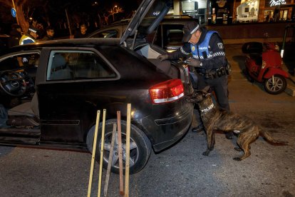 La Unidad Canina, en acción. SANTI OTERO