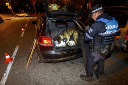 La Unidad Canina, en acción. SANTI OTERO