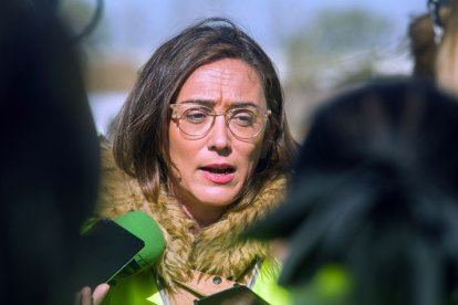 La consejera de Movilidad y Transformación Digital, María González. TOMÁS ALONSO