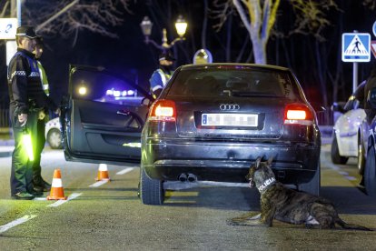 La Unidad Canina, en acción. SANTI OTERO