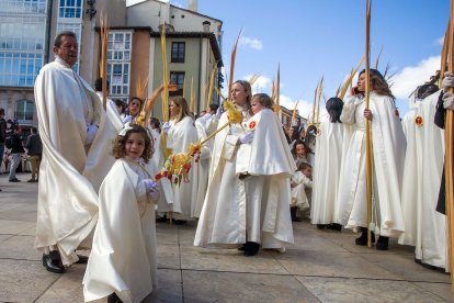 Palmas alargadas, ornamentales, cargadas de gominolas o rosquillas y ramas de laurel o de olivo entre los elementos que recibieron la bendición en la plaza del rey San Fernando. TOMAS ALONSO