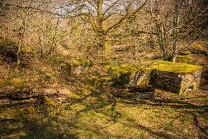 El paisaje está dominado por un frondoso y bien conservado hayedo. FOTOS: © Daniel López García