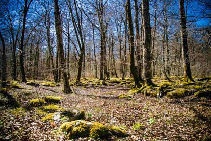 Salto del Nervión y Monte Santiago. Es un lugar de gran belleza natural, rodeado de montañas y bosques que hacen de este paraje un espacio único en el que la naturaleza se muestra en todo su esplendor. FOTOS: © Daniel López García