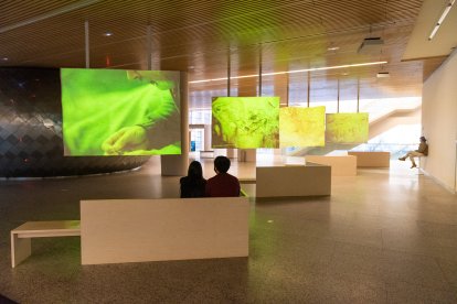 Los elementos interactivos del Museo de la Evolución permiten abordar cuestiones sobre la evolución cultural, biológica y tecnológica del hombre.