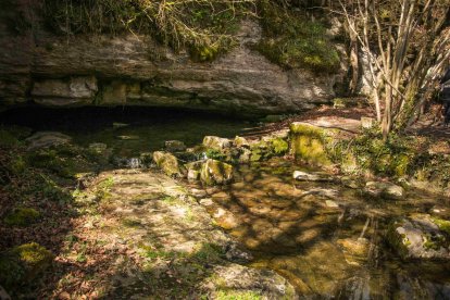 El paisaje está dominado por un frondoso y bien conservado hayedo. FOTOS: © Daniel López García