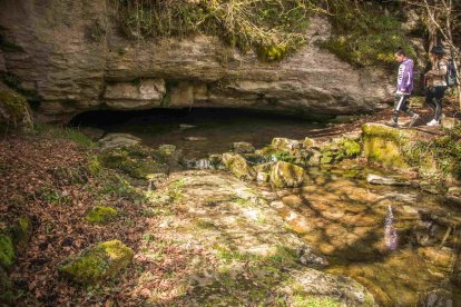 El paisaje está dominado por un frondoso y bien conservado hayedo. FOTOS: © Daniel López García