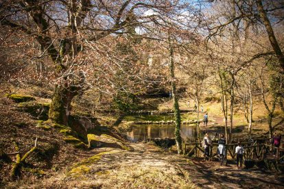 El paisaje está dominado por un frondoso y bien conservado hayedo. FOTOS: © Daniel López García