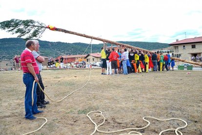 Los mozos pingan el Mayo y los casados ayudan.