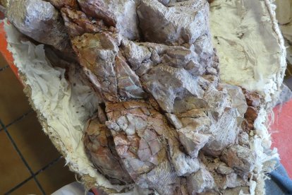 Así se conservan huevos de dinosaurio de Loarre que se corresponden con la época de extinción de los dinosaurios.