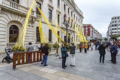 El Paseo del Espolón será el escenario principal para la localización de la mayoría de los proyectos florales junto con la Plaza Mayor, el puente de Santa María y el Principal