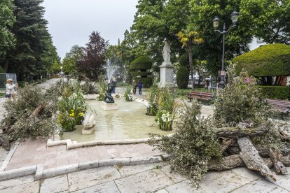 El Paseo del Espolón será el escenario principal para la localización de la mayoría de los proyectos florales junto con la Plaza Mayor, el puente de Santa María y el Principal