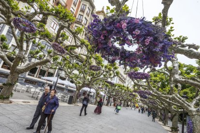 El Paseo del Espolón será el escenario principal para la localización de la mayoría de los proyectos florales junto con la Plaza Mayor, el puente de Santa María y el Principal