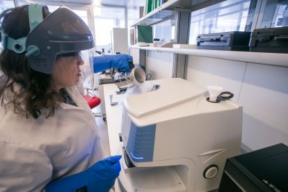 Trabajo con nitrógeno en uno de los laboratorios del Cenieh.
