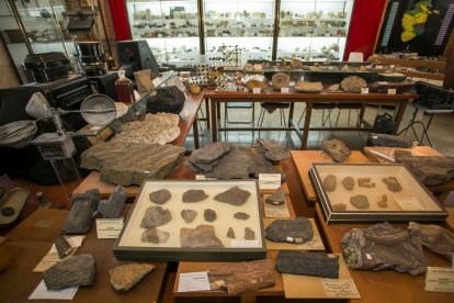 La ciencia ciudadana llega a este Museo desde el principio en forma de donación de colecciones de profesores, instituciones o de particulares.