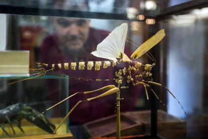 Hay reconstrucciones espectaculares como este insecto.