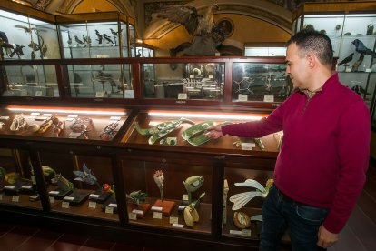 Daniel Domínguez, que trabaja en el desarrollo de la base de datos de los fondos del museo, muestra algunas de las creaciones destinadas a la enseñanza de agronomía a finales del XIX.